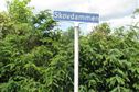Skovdammen 13