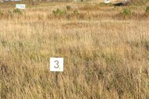Golfparken 3, Løgstør