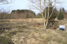 Tunet 3, Lyngså strand