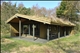 Maarup Skov 39