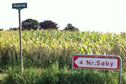 Røjlevej 36