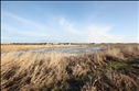 Kringelbækvej 22, Grønhøj strand