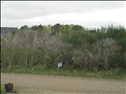Jordbærvej 10