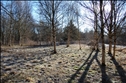 Gråanden 42, Gjøl