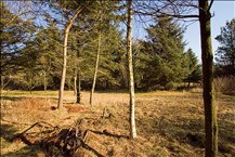 Sandstensvej 29, Knud strand