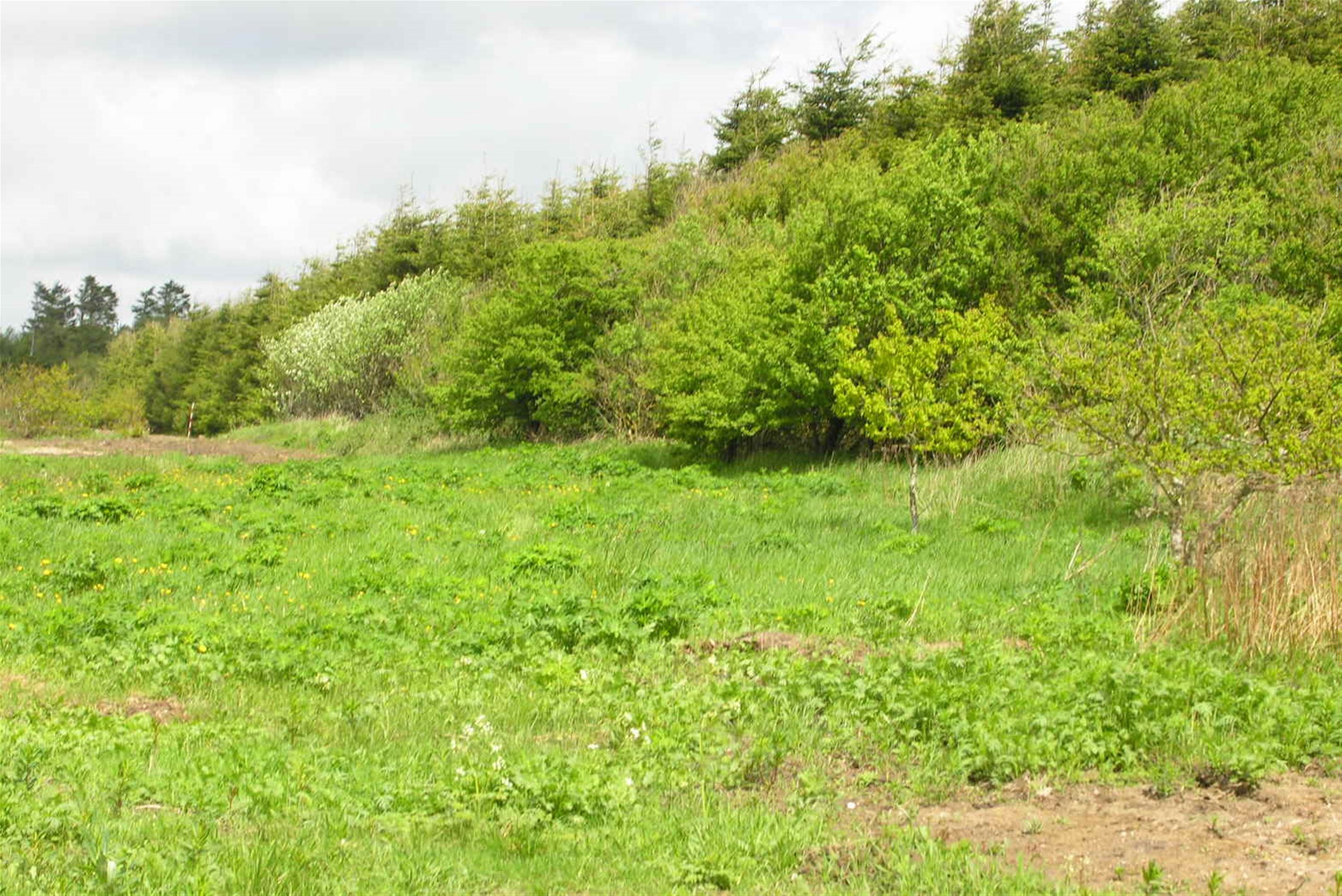 helaarsgrund - Oelstoftvej 5, 6950 Ringkoebing - Visning 2