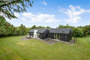 sommerhus blåvand salg