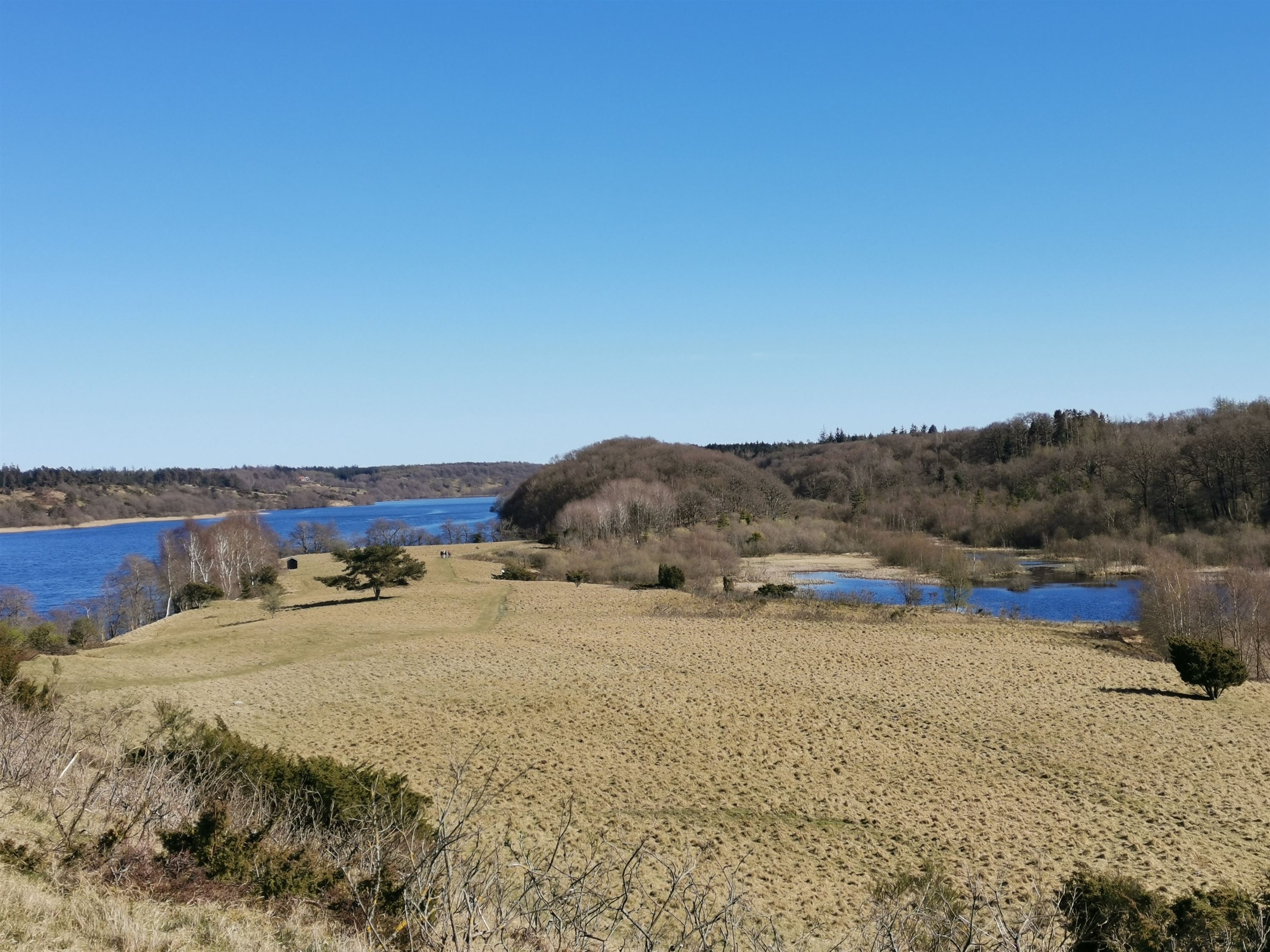 Lillesøvej 26, Rørbæk Søpark, 7361 Ejstrupholm – billede 1 af 1