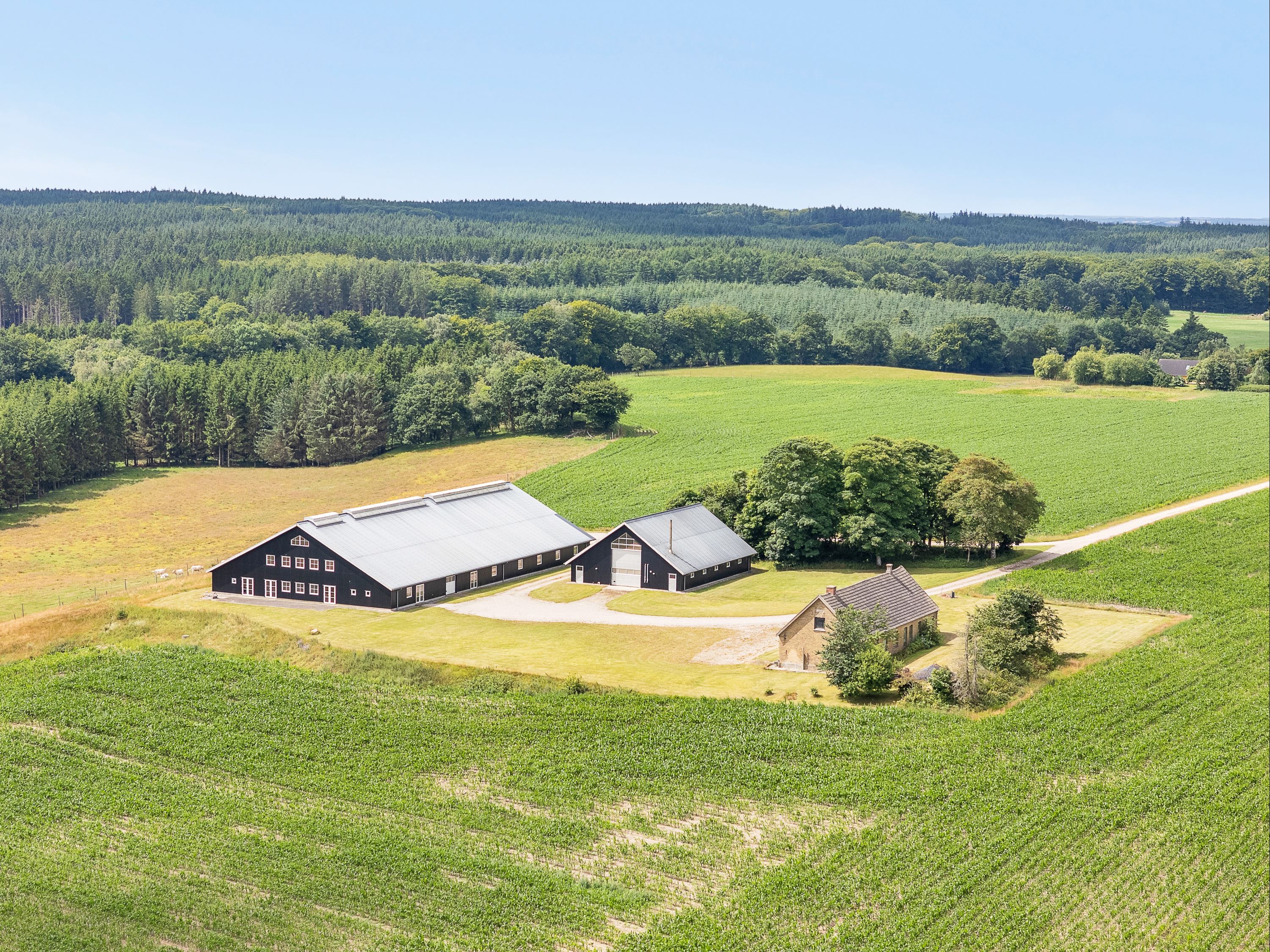 Villa på Erstedskovvej 11 9520 Skørping.
