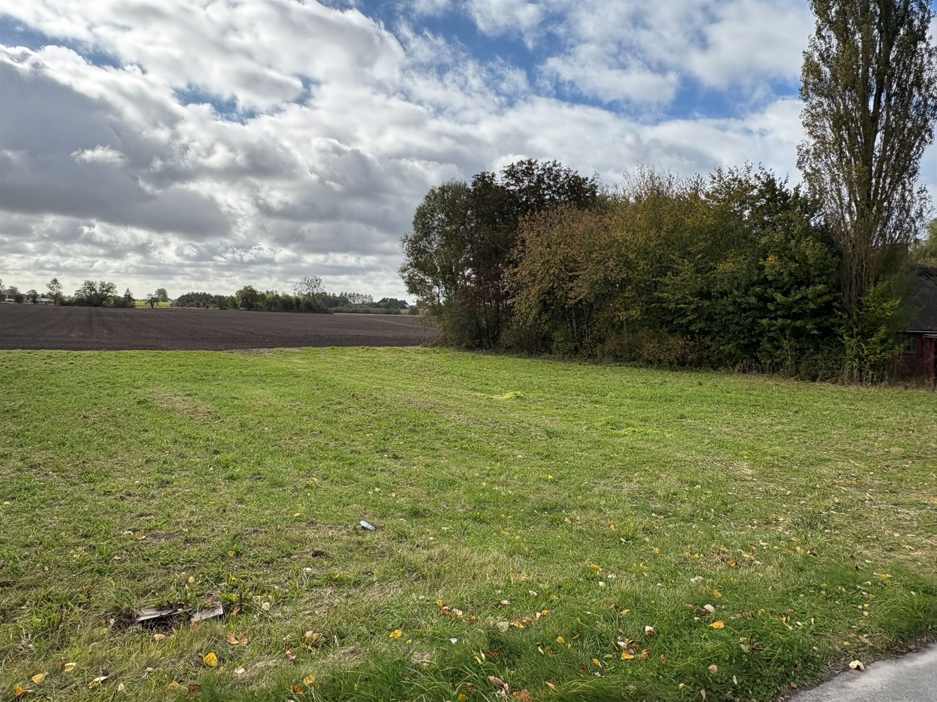 helaarsgrund - Ringstedvej 135, 4690 Haslev - Visning 3