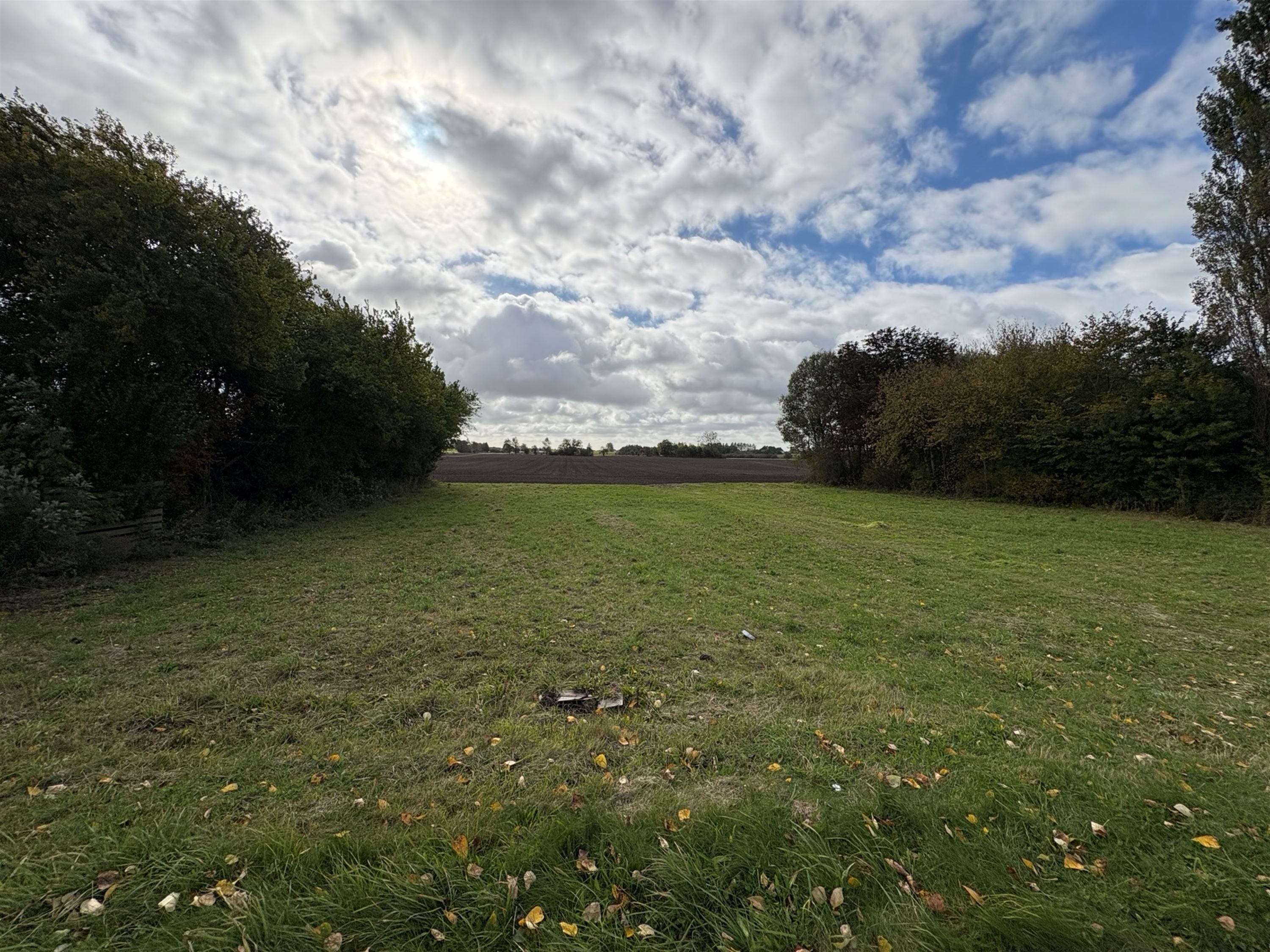 helaarsgrund - Ringstedvej 135, 4690 Haslev - Visning 4