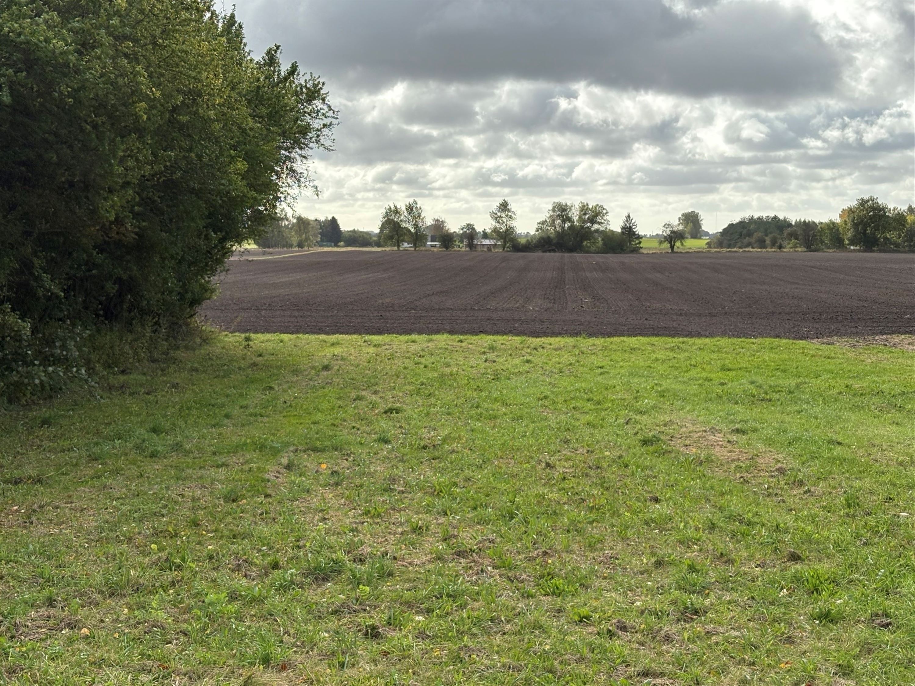 helaarsgrund - Ringstedvej 135, 4690 Haslev - Visning 2