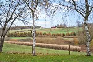 Lindenborgvej 104