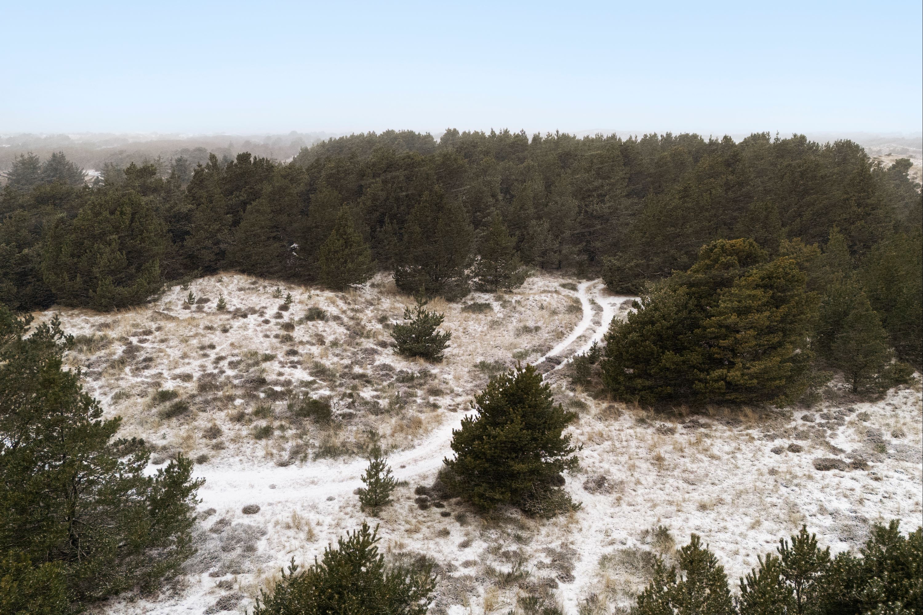 planteavlsgaarde-landbrugsjord - Vesterhavsvej 322a, 6830 Noerre Nebel - View 4