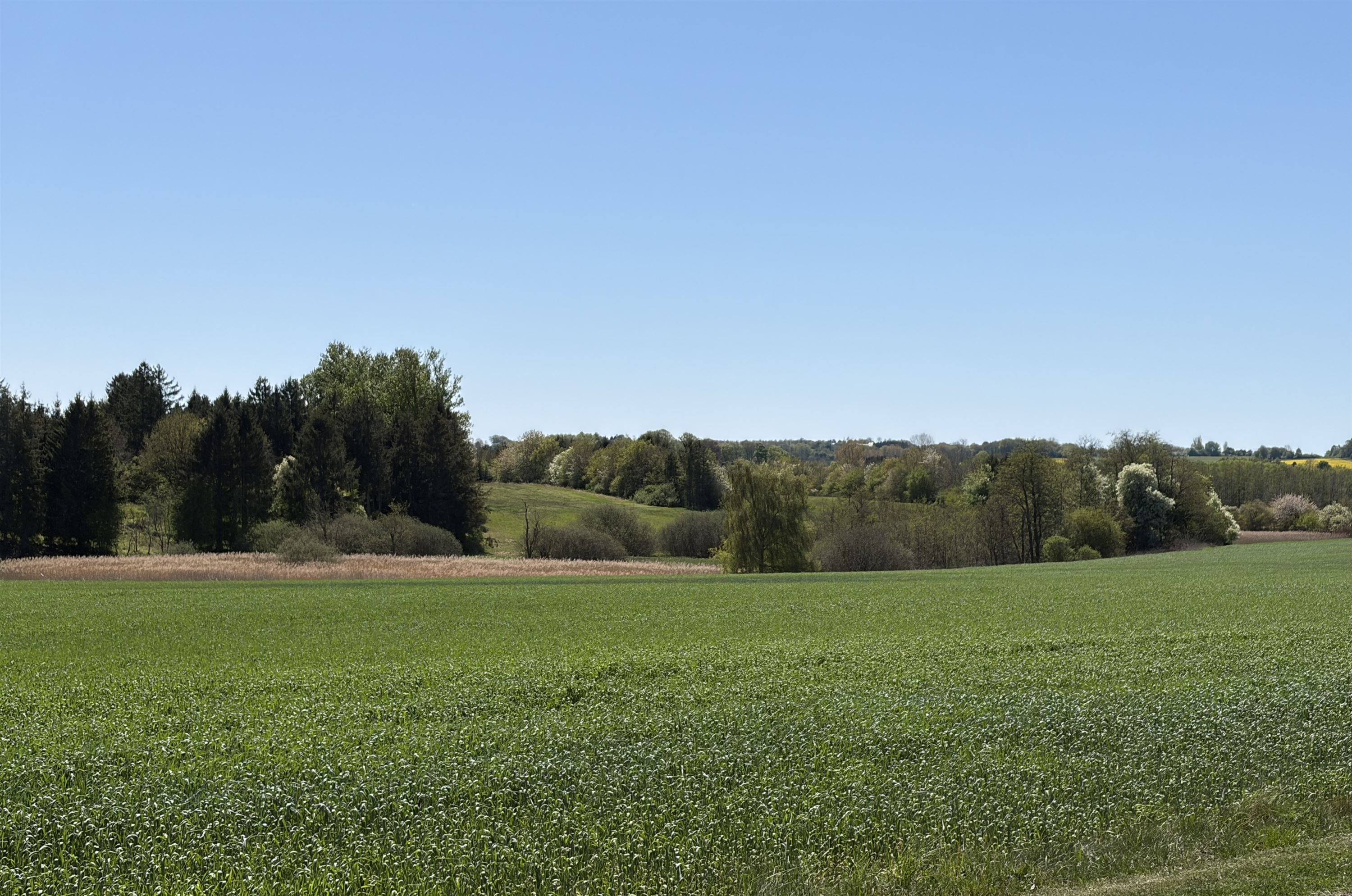 Villa på Sigerstedvej 103 4100 Ringsted.