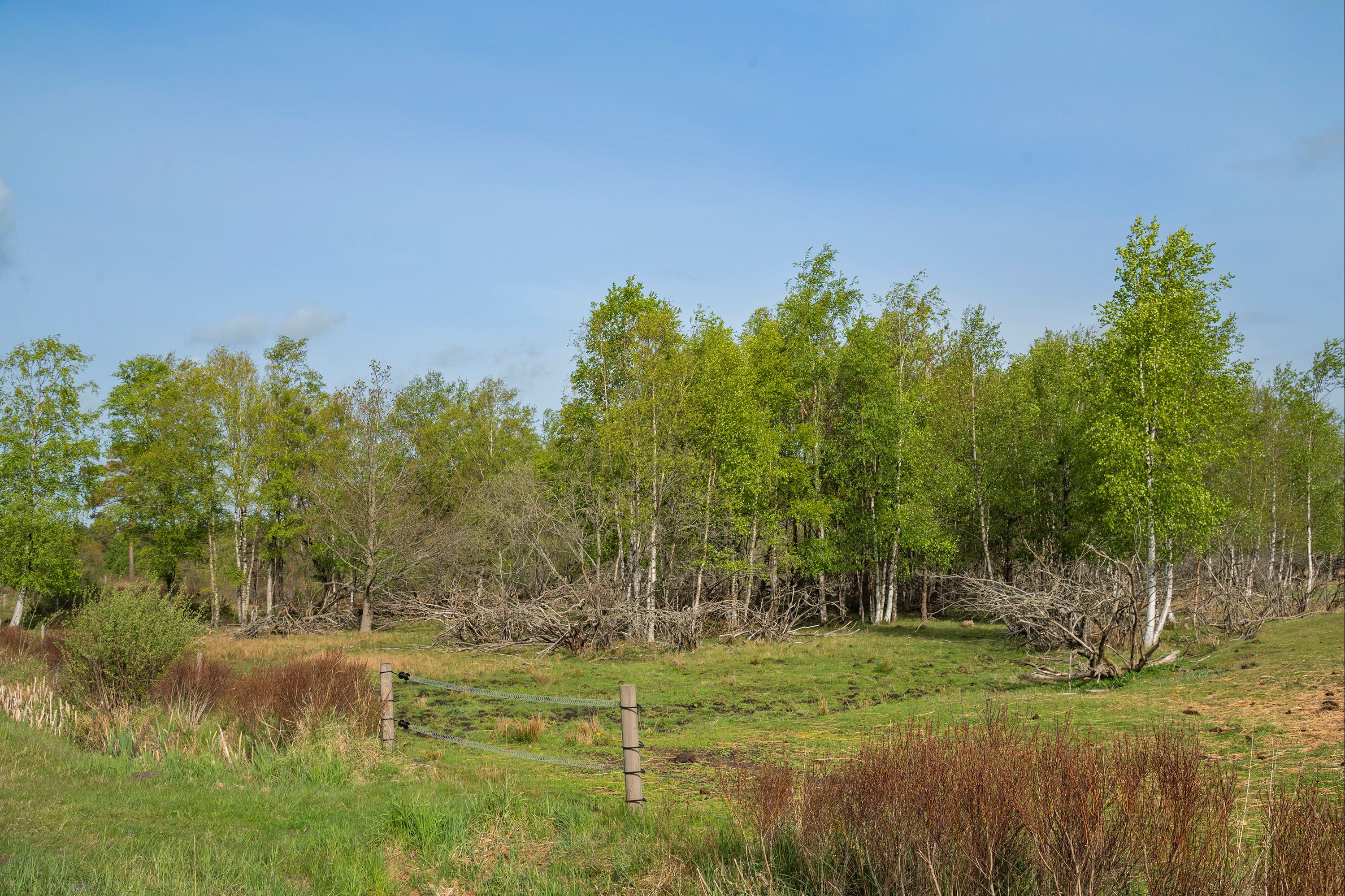 Villa: Depotvej 35, 9981 Jerup - Visning 3