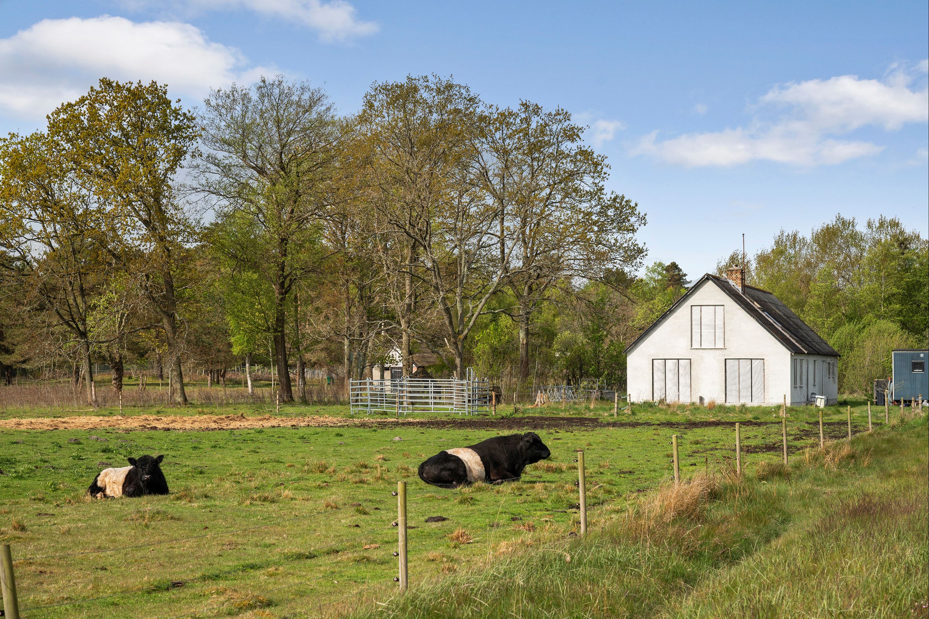 Villa: Depotvej 35, 9981 Jerup - Visning 2