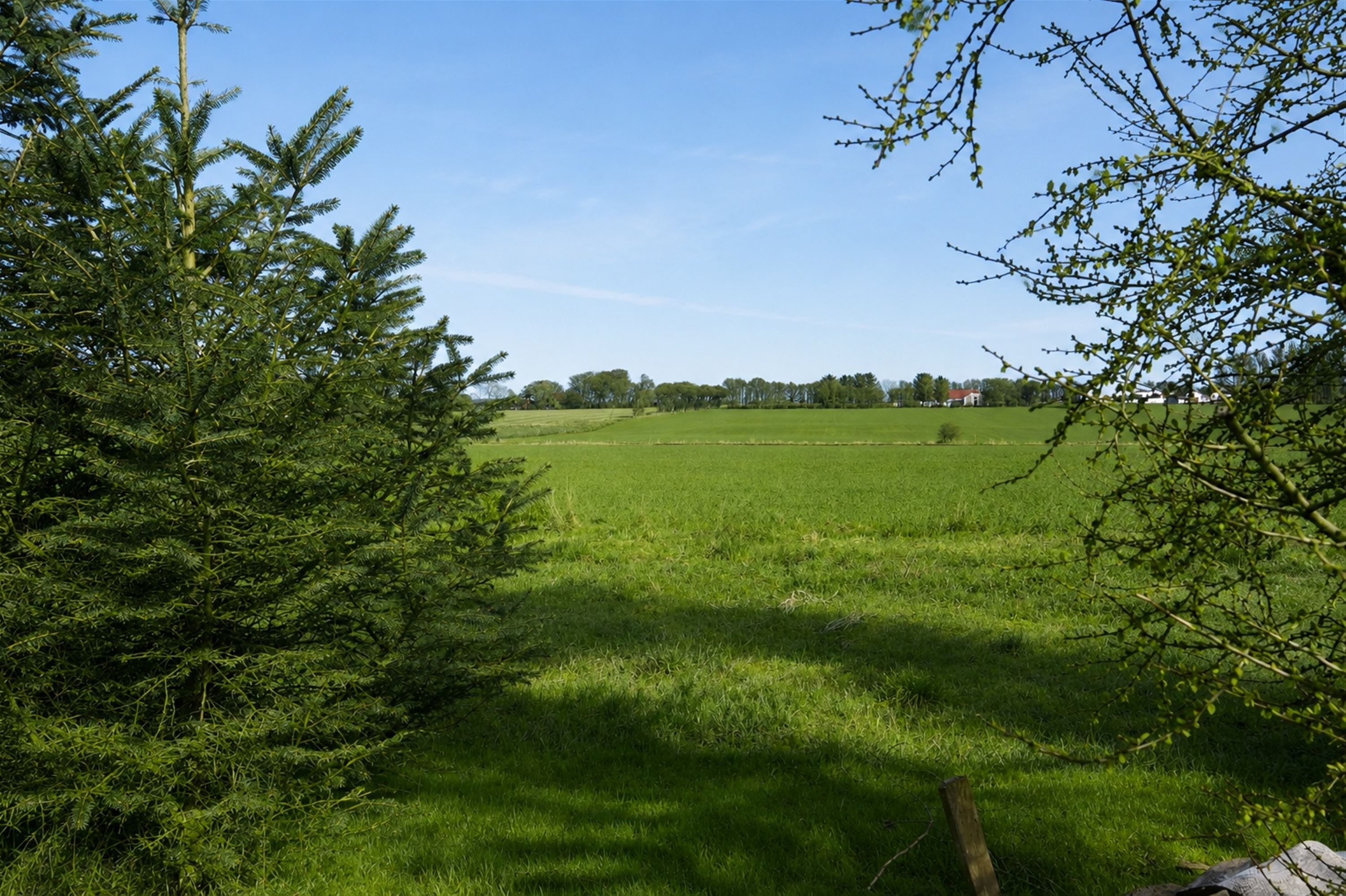 Hus – Fjerritslev, Manstrup - Visning 4