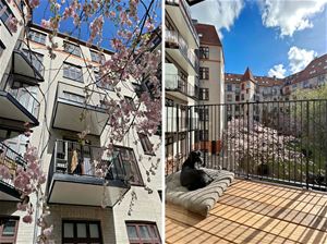 Ejerlejlighed til salg hos EDC Poul Erik Bech, Østerbro og Nordhavn