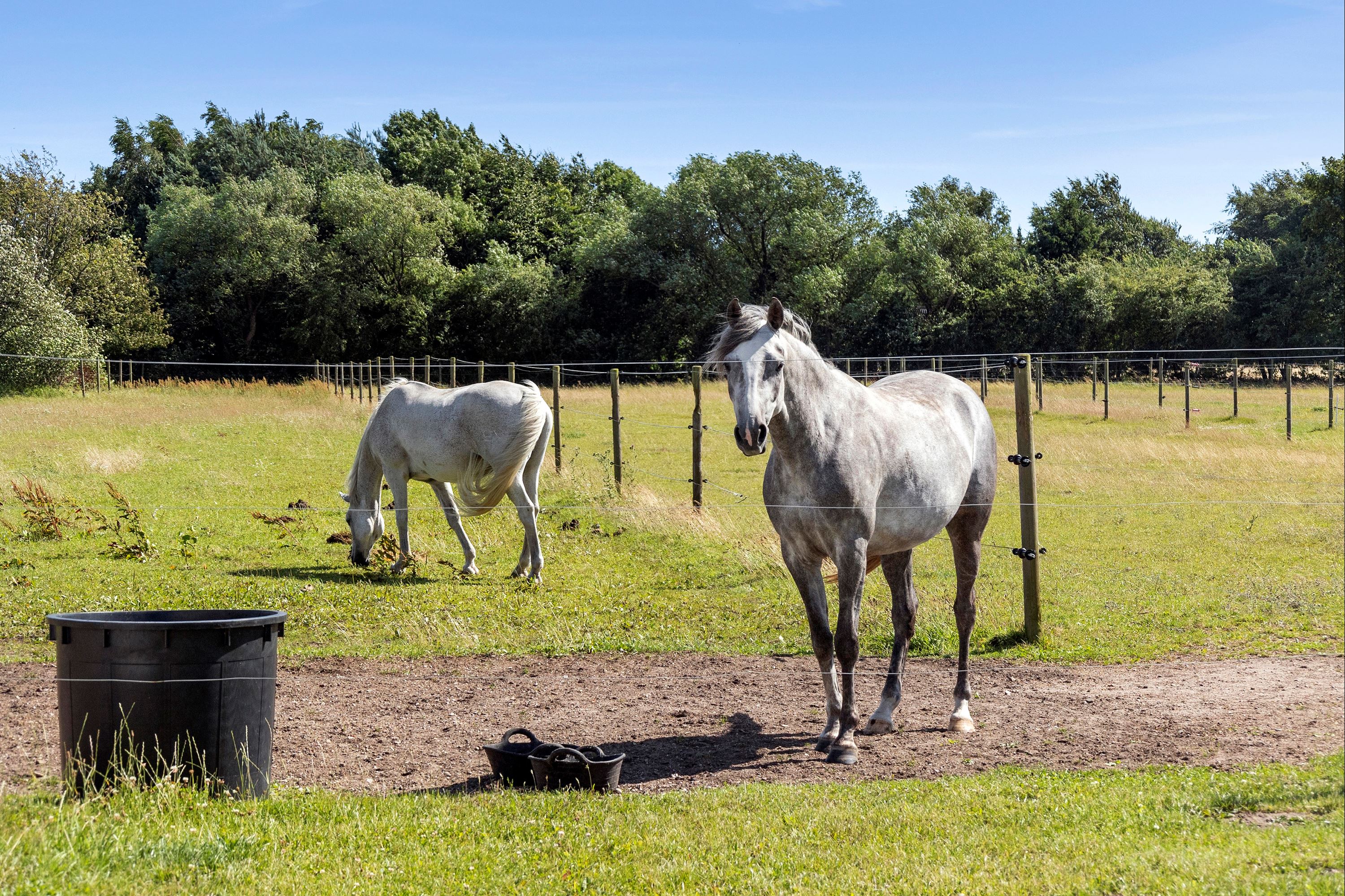 Hus – Vejen, Skodborghus - Visning 4