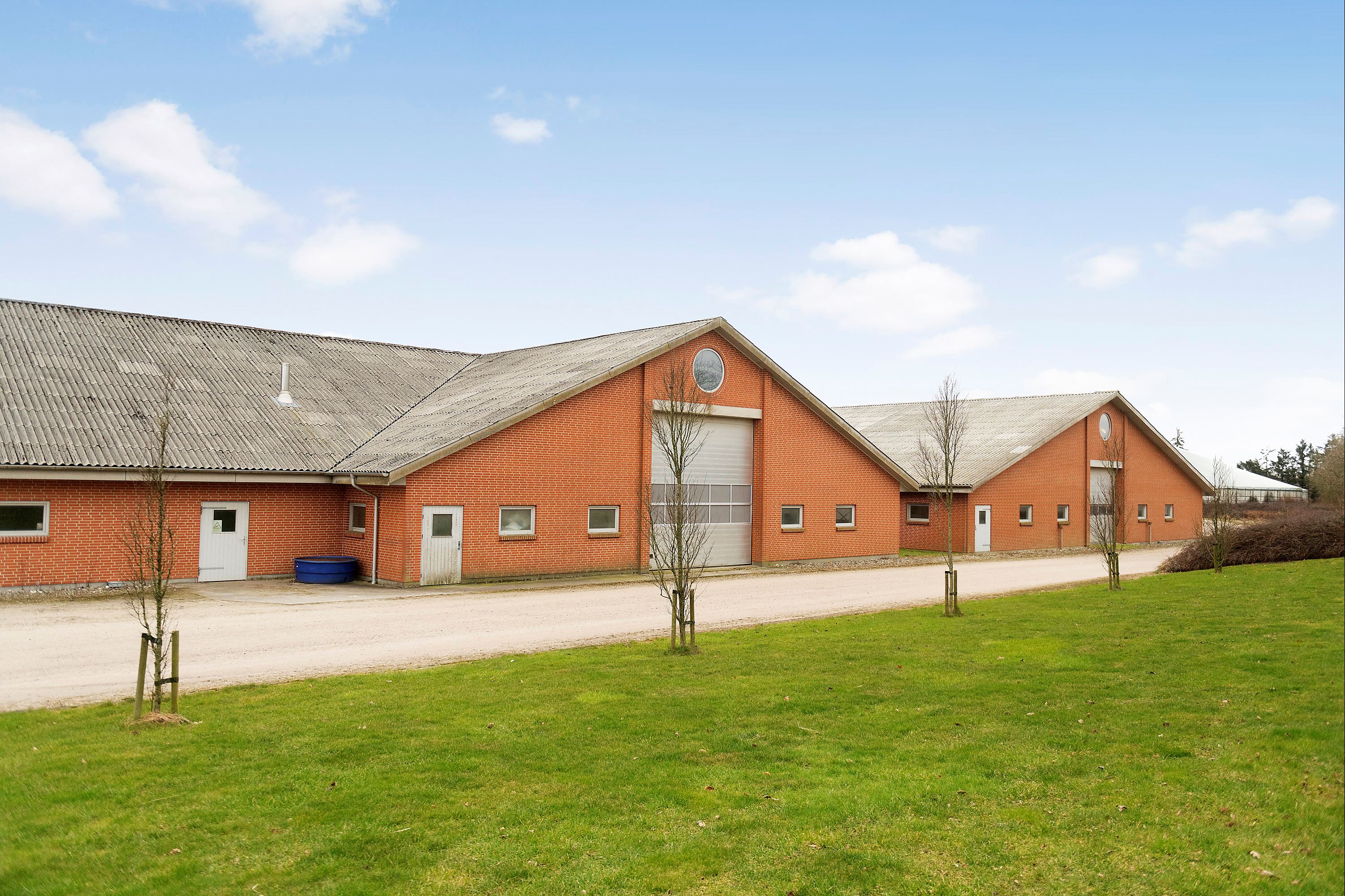 svinegaarde - Skaerbaekvej 3, 6870 Oelgod - Flere