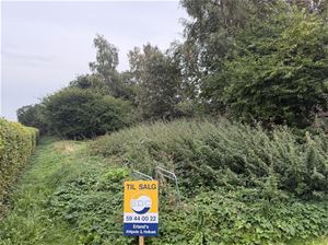 To-Bjerg 163