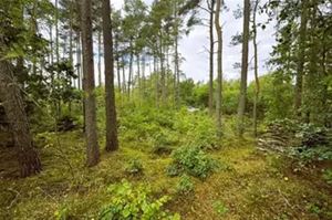 Lyngbakkevej 6, 8400 Ebeltoft – billede 1 af 1